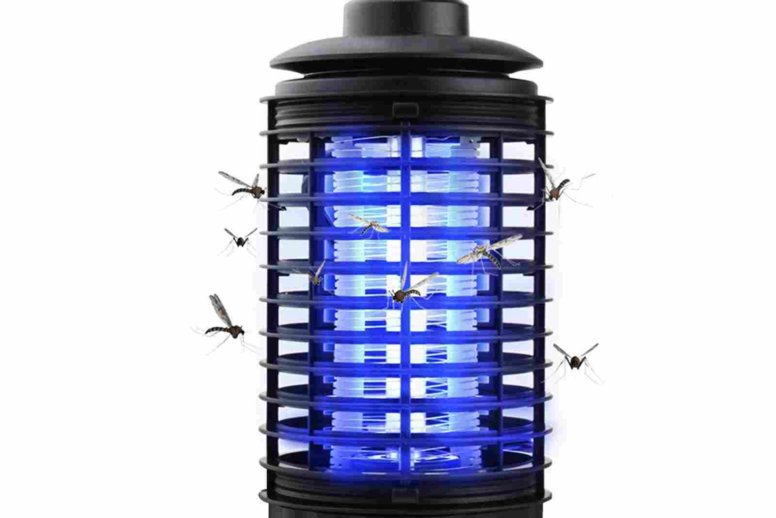 What is the most eco-friendly insect killer available?