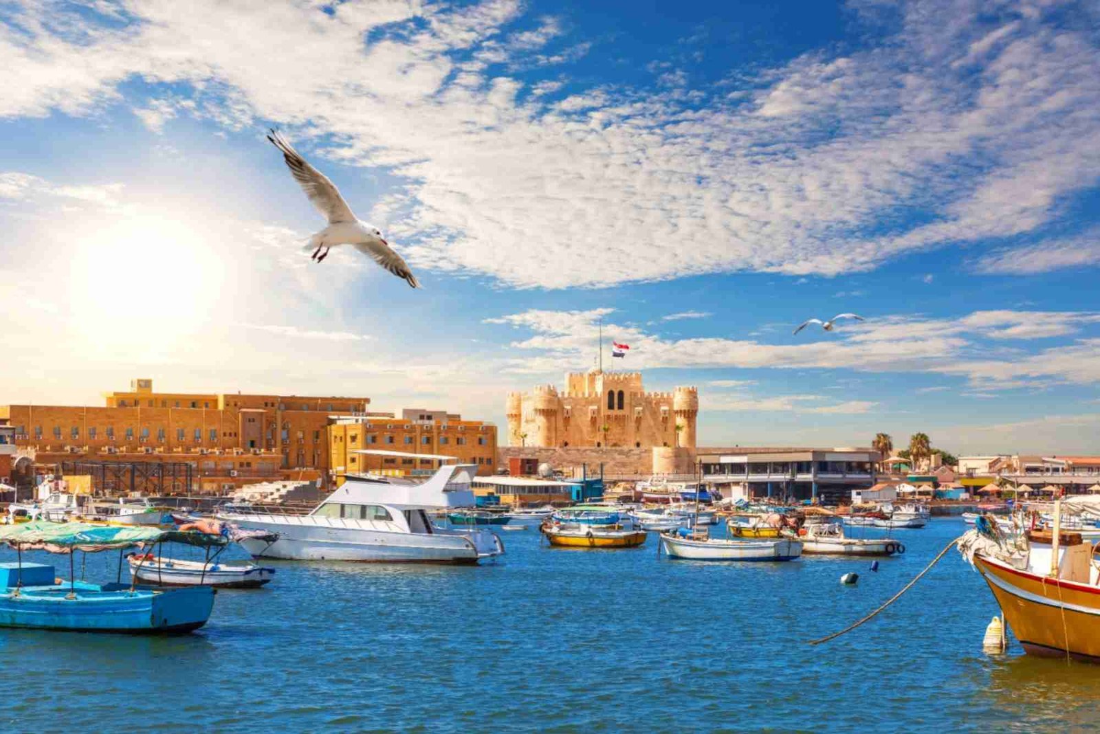 عروض شركات سياحة بالاسكندرية