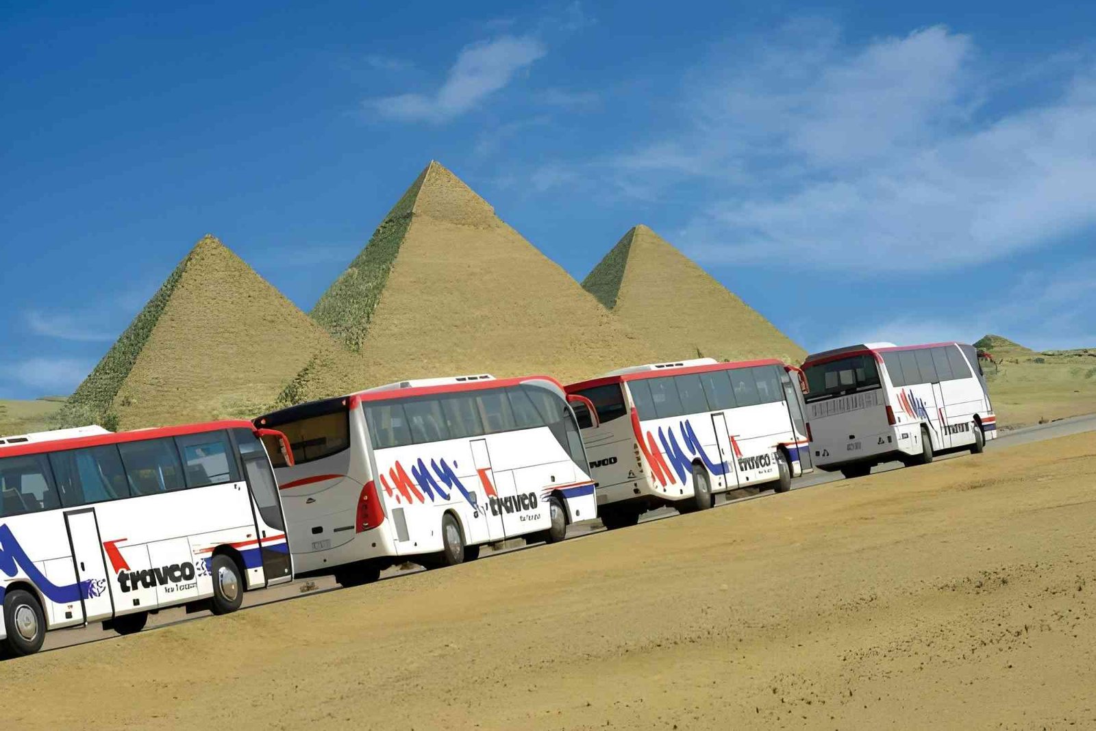 فروع شركة ترافكو للسياحة