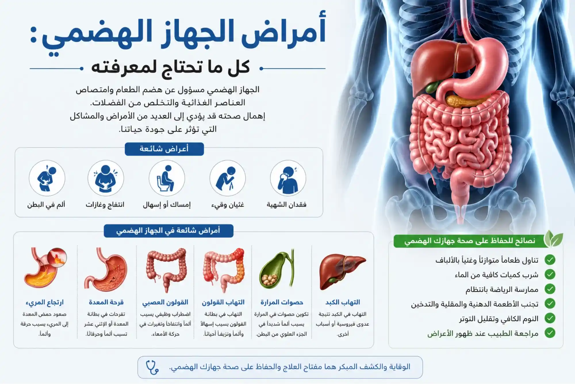 أمراض الجهاز الهضمي كل ما تحتاج لمعرفته
