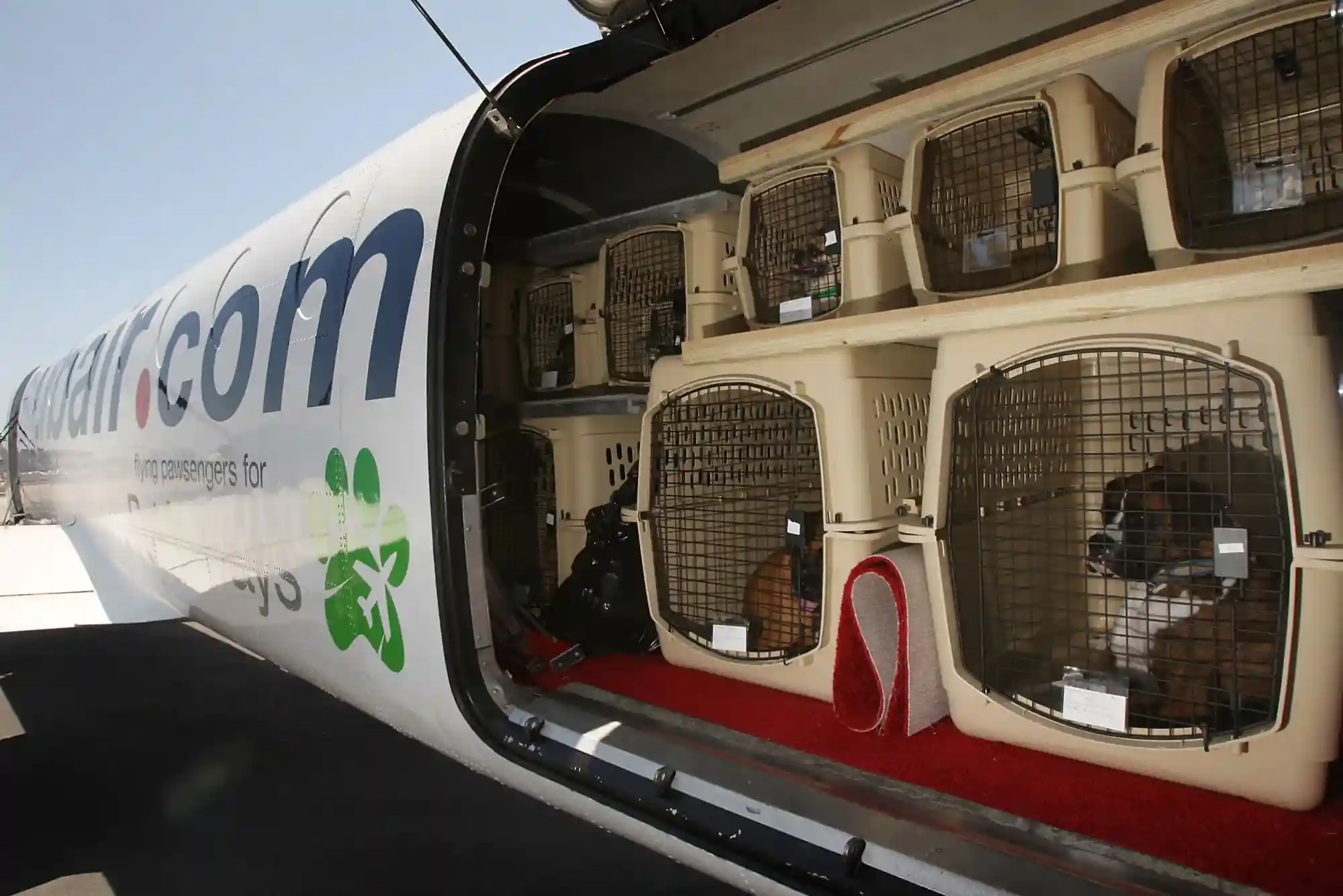 Flying with Dogs as Checked Baggage or Cargo: Temperature Embargoes and Crate Specs Flying with Dogs as Checked Baggage or Cargo: Temperature Embargoes and Crate Specs